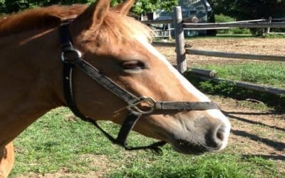 Friday Funny–Meet Jack