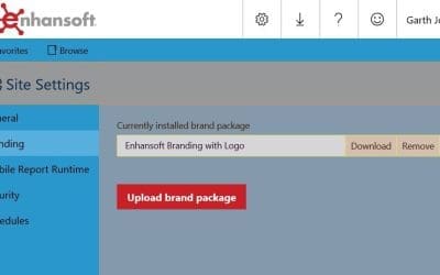 New SSRS 2016 Custom Brand Package Feature