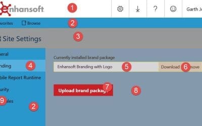 How to Match SSRS Brand Colors with SSRS Site Items