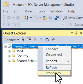 Properties for the Report Server